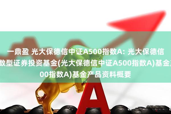 一鼎盈 光大保德信中证A500指数A: 光大保德信中证A500指数型证券投资基金(光大保德信中证A500指数A)基金产品资料概要