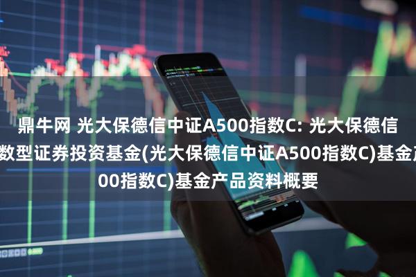 鼎牛网 光大保德信中证A500指数C: 光大保德信中证A500指数型证券投资基金(光大保德信中证A500指数C)基金产品资料概要