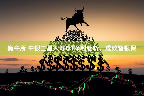 衡牛所 中银三星人寿Q1净利腰斩，成败皆银保