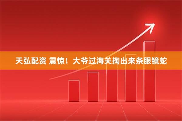 天弘配资 震惊！大爷过海关掏出来条眼镜蛇