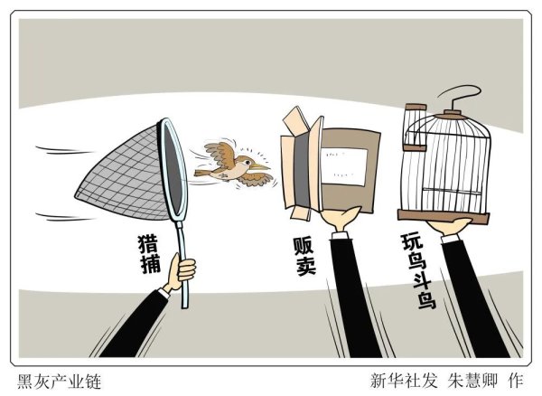永旺配资端 莫让“捕网”变“法网”，当心“鸟笼”变“囚笼”