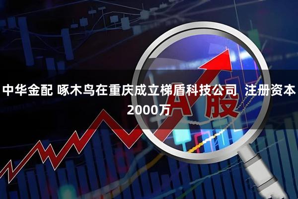 中华金配 啄木鸟在重庆成立梯盾科技公司  注册资本2000万