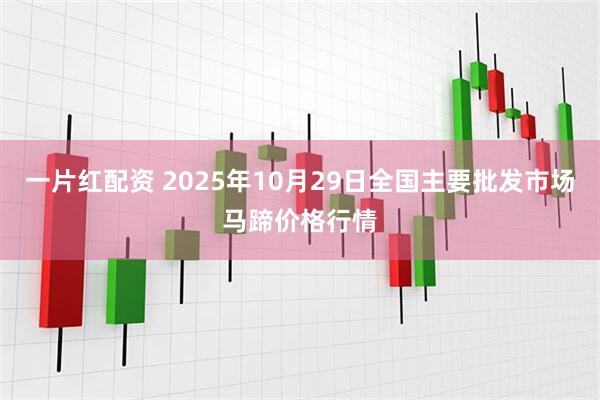 一片红配资 2025年10月29日全国主要批发市场马蹄价格行情