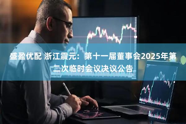 盛盈优配 浙江震元：第十一届董事会2025年第二次临时会议决议公告