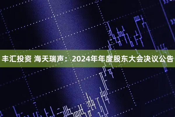 丰汇投资 海天瑞声：2024年年度股东大会决议公告