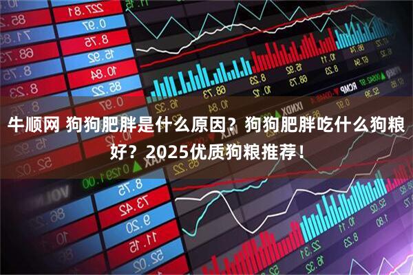 牛顺网 狗狗肥胖是什么原因？狗狗肥胖吃什么狗粮好？2025优质狗粮推荐！