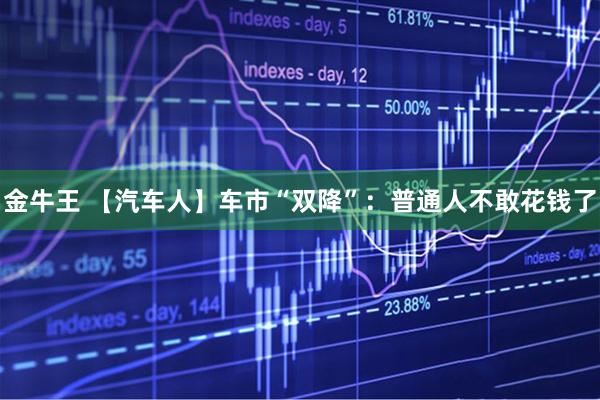 金牛王 【汽车人】车市“双降”：普通人不敢花钱了
